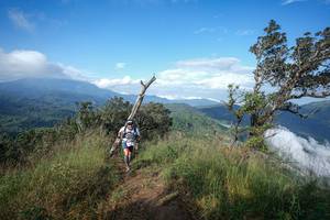 BIB: 
                            <button type="button" onclick="openModal(22371754)" class="btn btn-primary btn-sm float-right btn-popup" data-toggle="modal" data-target=".modal-high-quality">
                        <i class="fas fa-shopping-cart"></i> Add to Cart
                    </button>
                                            <button type="button" onclick="isThisMe(22371754, true)" class="btn btn-success btn-sm float-right btn-popup btn-isme hidden" data-toggle="tooltip" data-placement="bottom" title="นี่คือรูปของคุณใช่ไหม คลิกที่นี่เพื่อเอาเข้าอัลบั้ม">
                        <i class="fas fa-plus"></i> Add to album
                    </button>
                    <button type="button" onclick="isThisMe(22371754, false)" class="btn btn-warning btn-sm float-right btn-popup btn-isnotme hidden">
                        <i class="fas fa-ban"></i> Remove from album
                    </button>